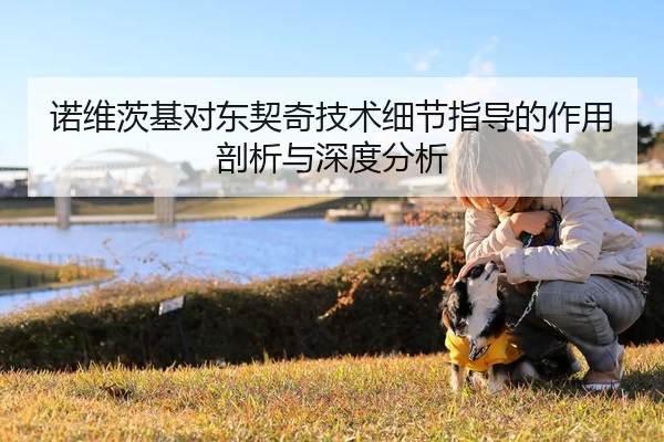 诺维茨基对东契奇技术细节指导的作用剖析与深度分析